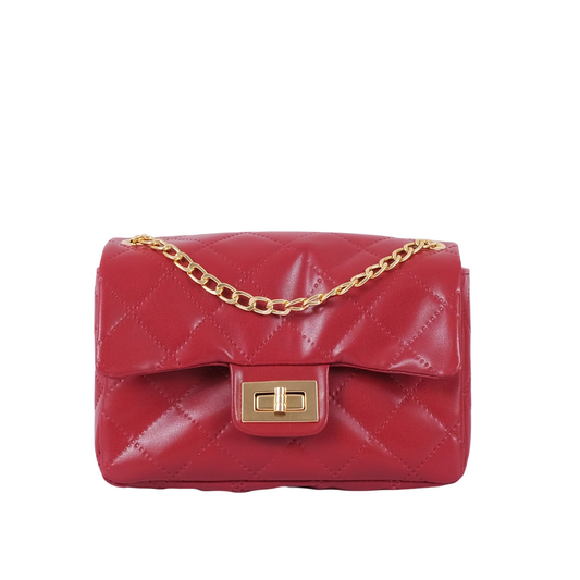 Women Mini Chain Bag image 0